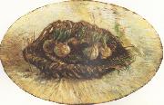 Vincent Van Gogh Basket of Sprouting Bulbs (nn04) oil on canvas